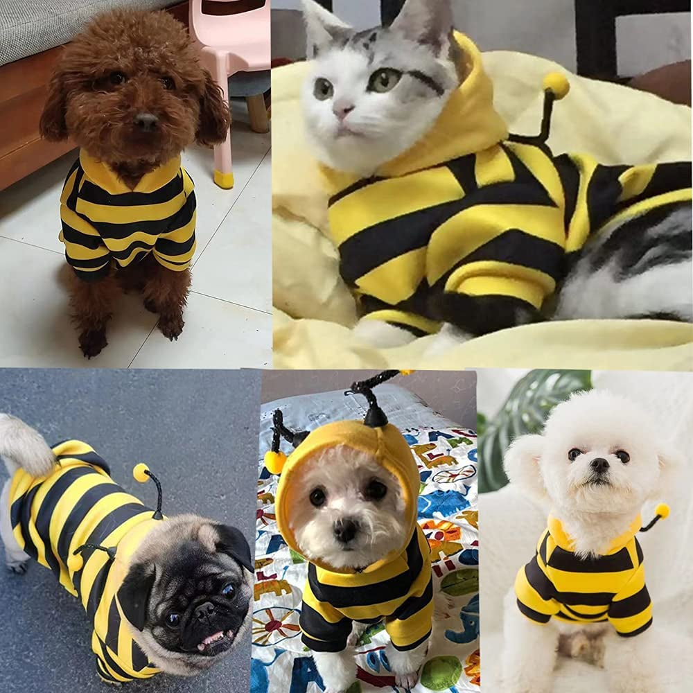 Funny Dog Hoodie Sweatshirt, Holiday Cat Sweater, Warm Clothes for Small Dogs, Yellow Cat Outfit, Puppy Hooded Coat, Pet Bee Costume for Halloween Christmas (Yellow, X-Large)
